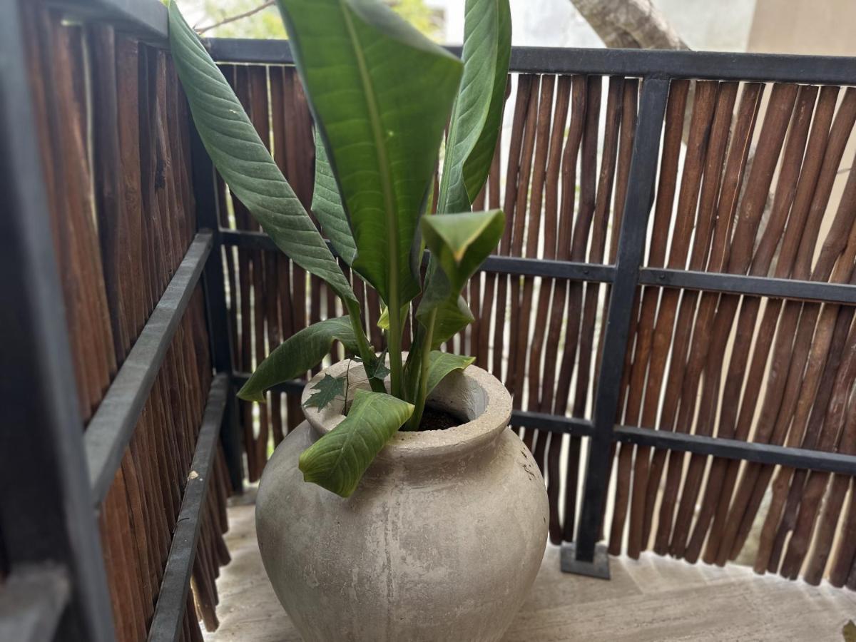 Ophelia Tulum Condo In Aldea Zama 외부 사진